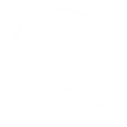 ETL y Procesamiento de Datos Blanco